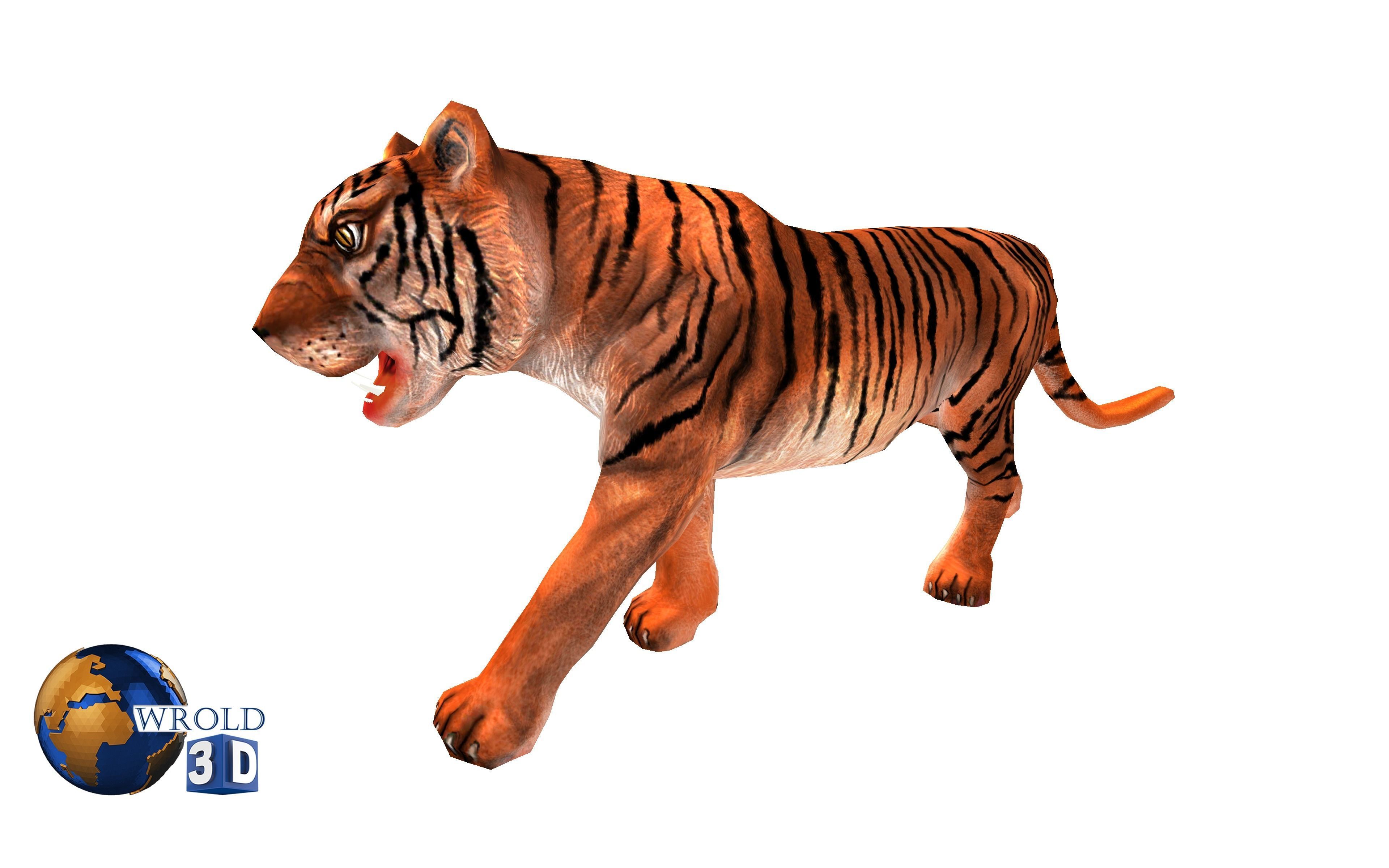  Tiger rigged Animated Lowpoly 3d model Low-poly 3D model_8