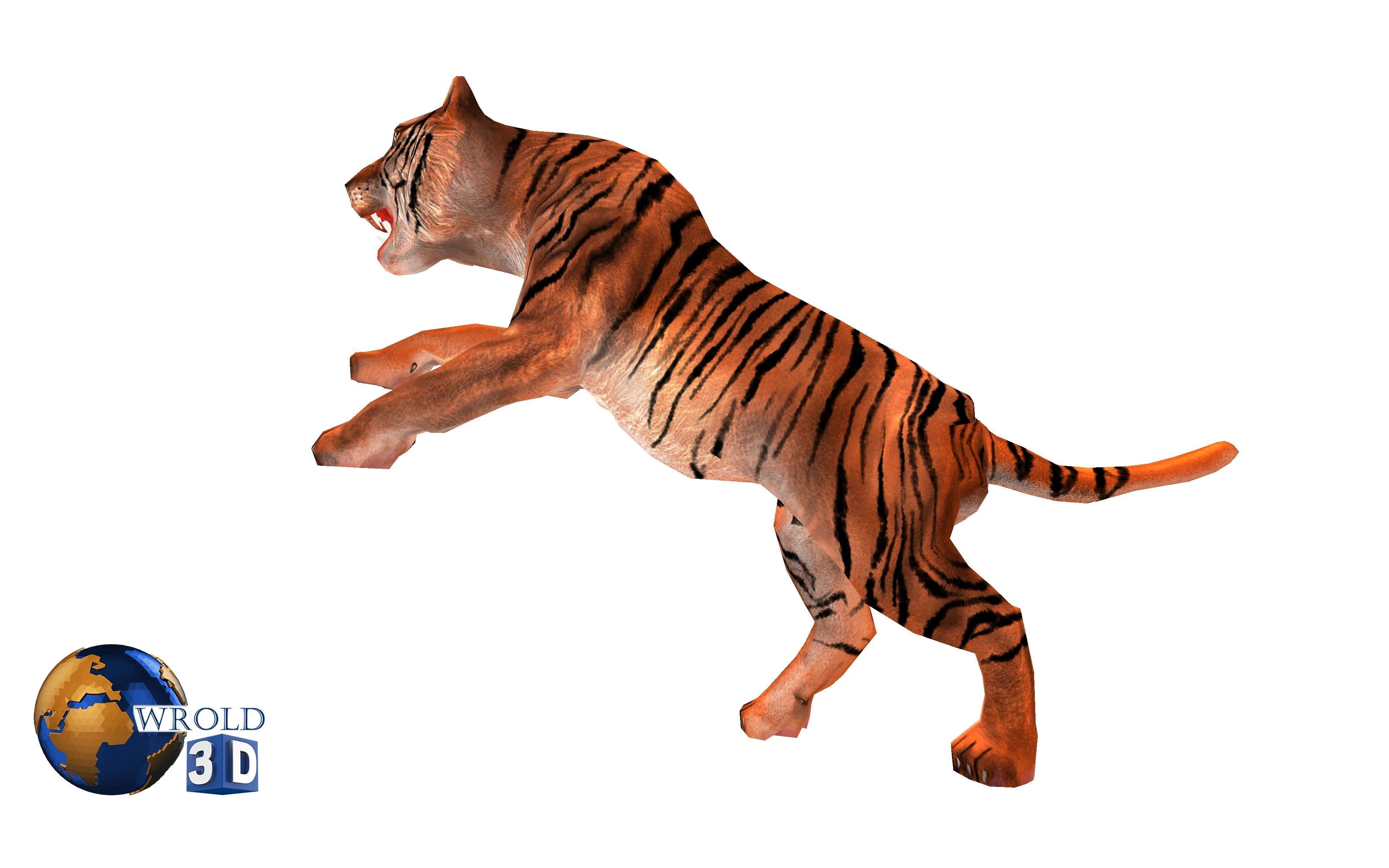  Tiger rigged Animated Lowpoly 3d model Low-poly 3D model_4