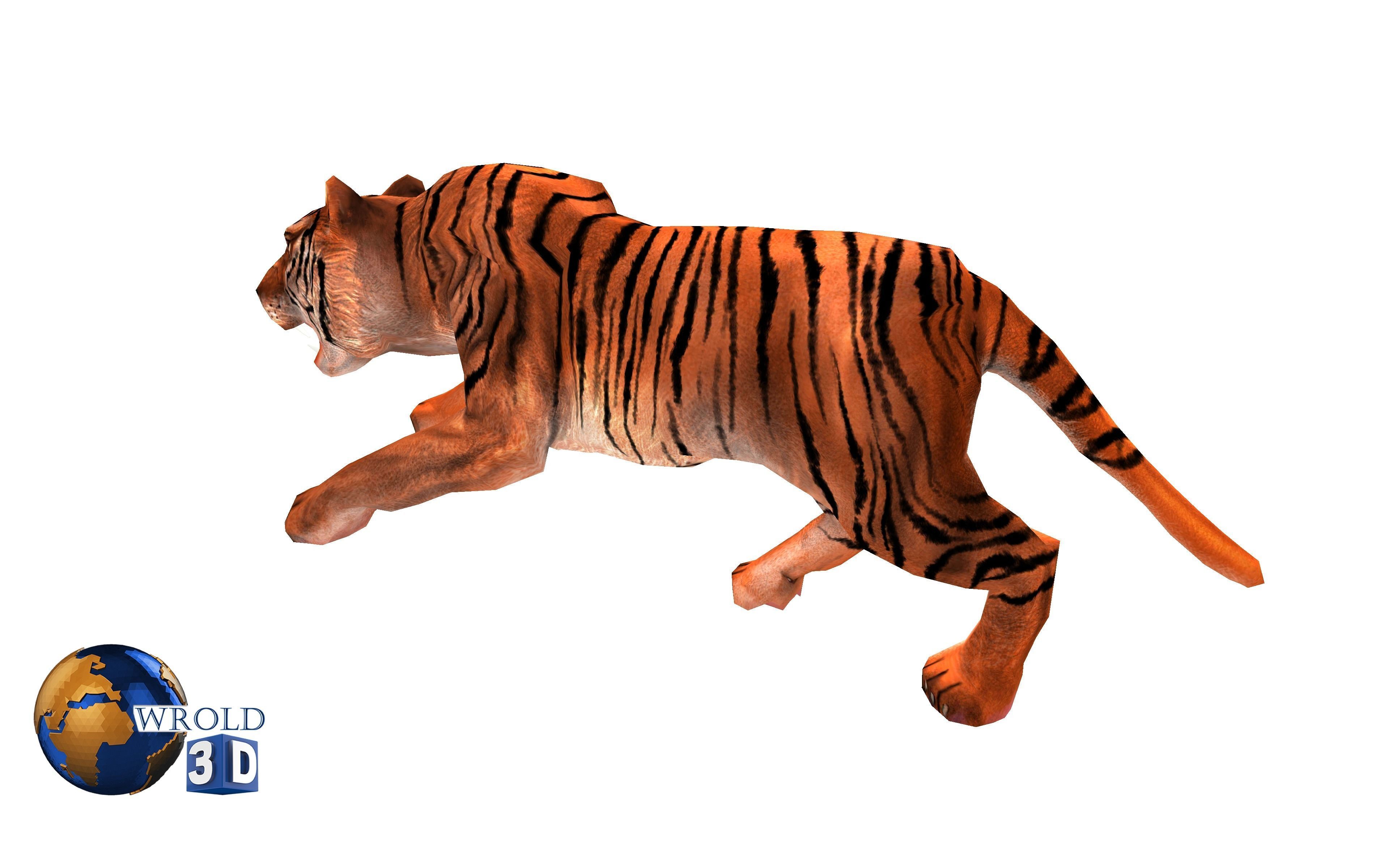  Tiger rigged Animated Lowpoly 3d model Low-poly 3D model_7