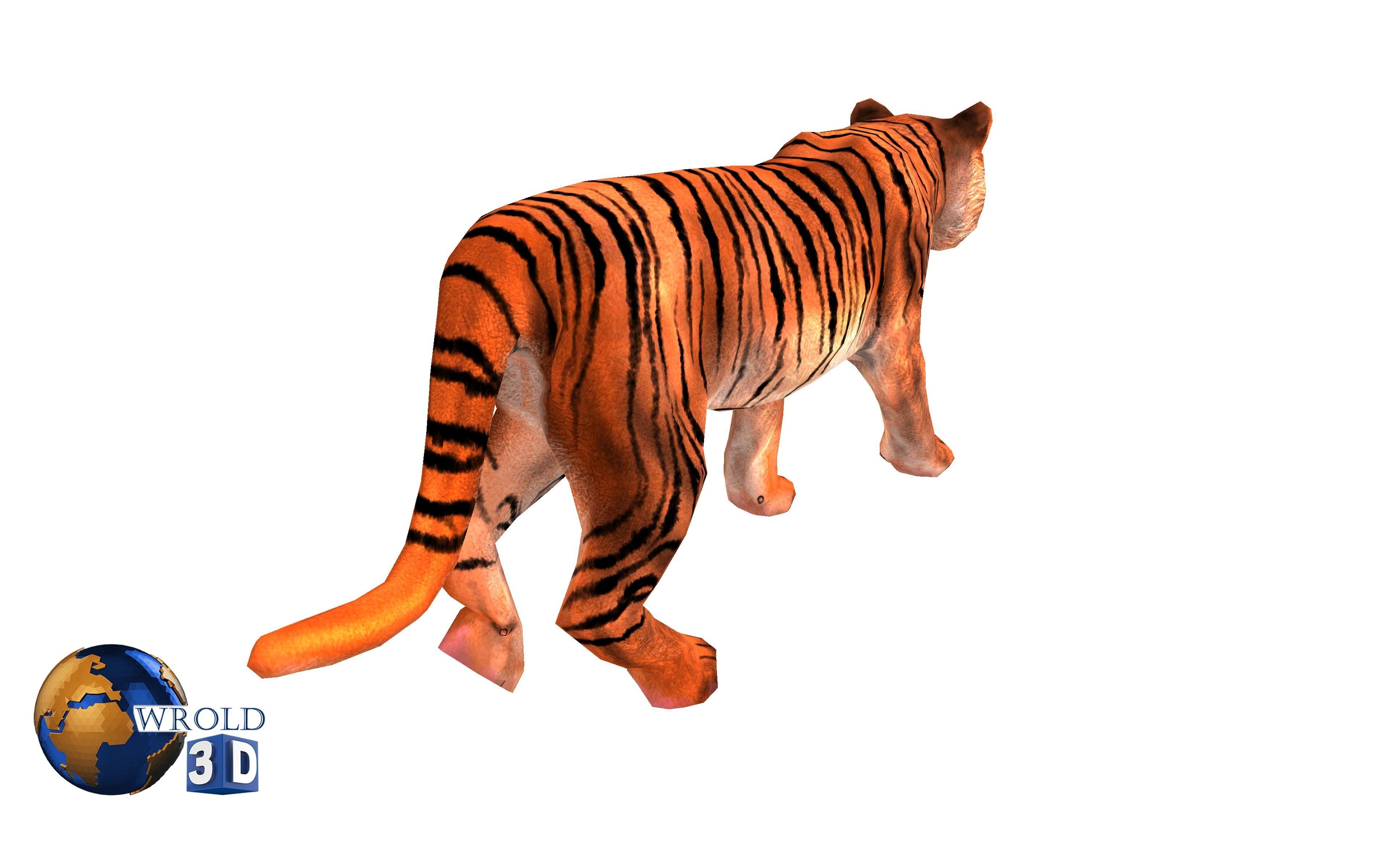  Tiger rigged Animated Lowpoly 3d model Low-poly 3D model_5