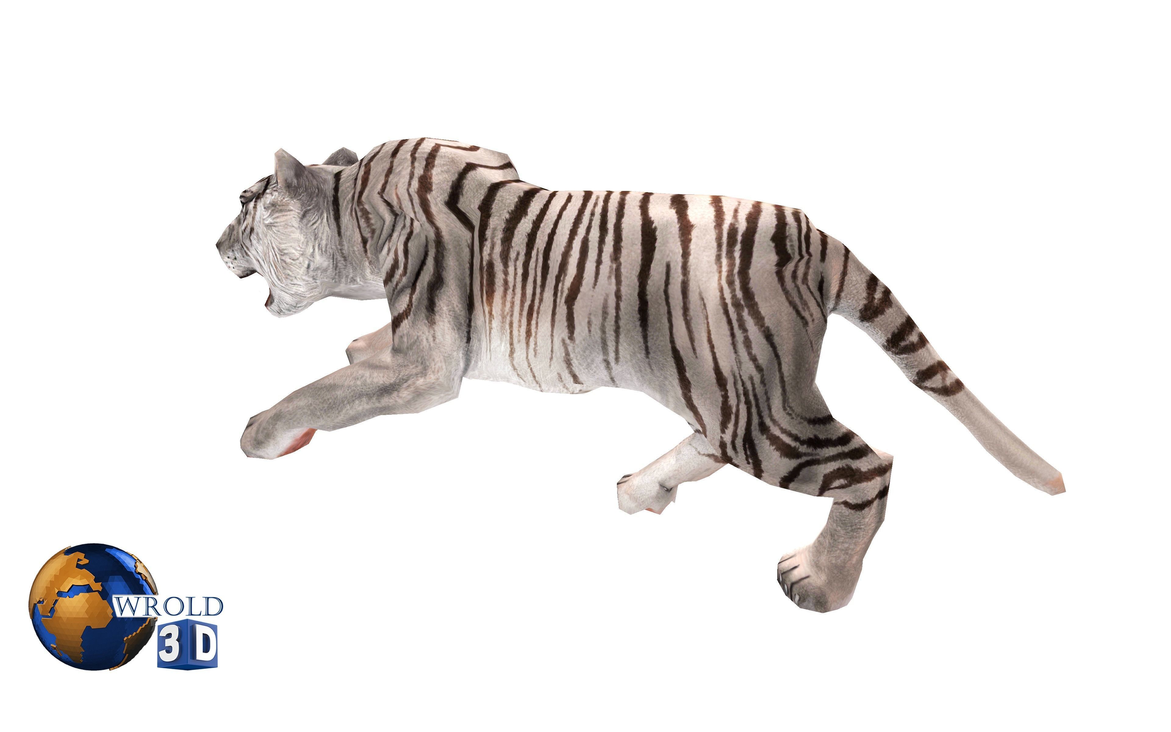 White Tiger Rigged Animated Lowpoly 3D Model Low-poly 3D model_8