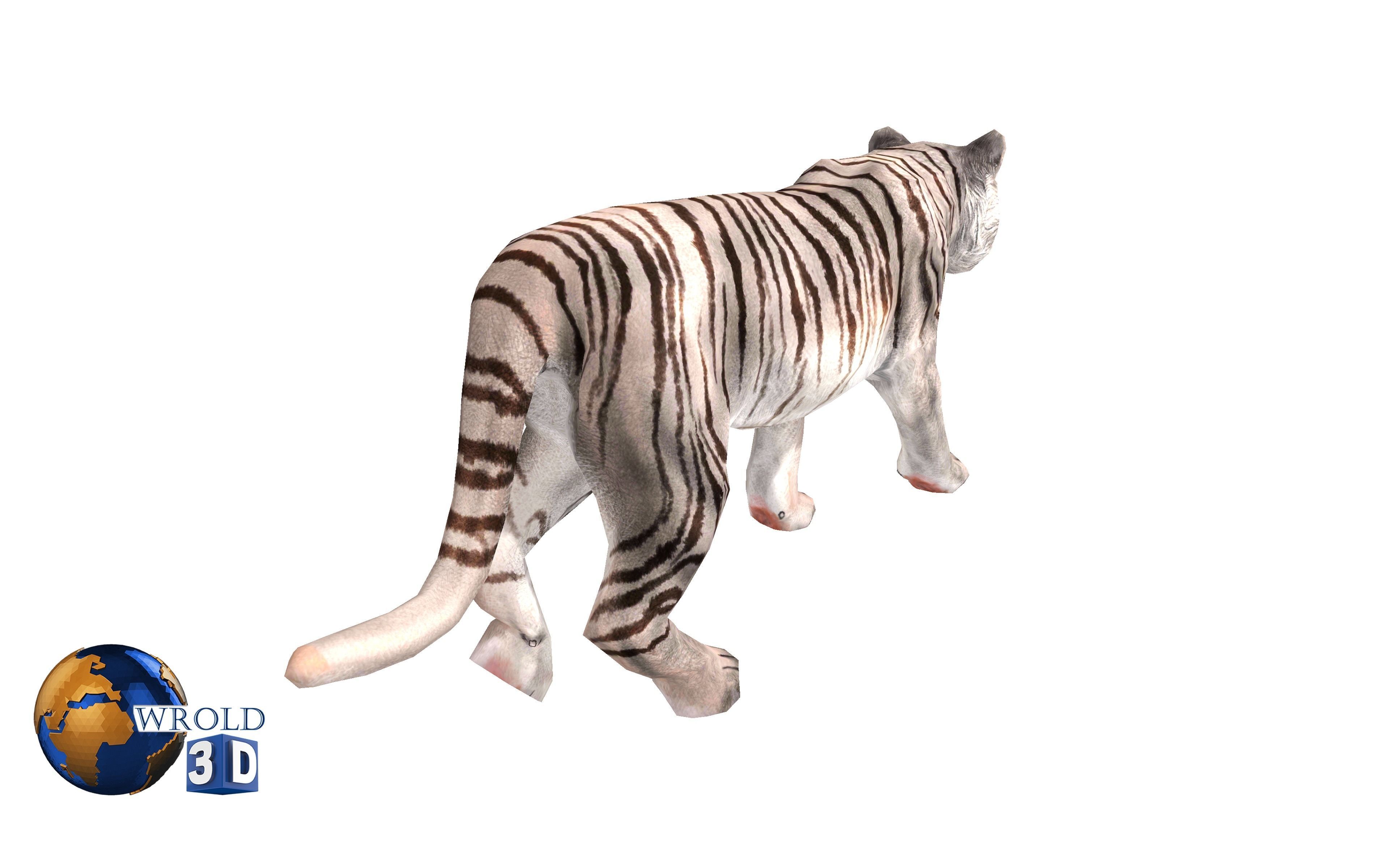 White Tiger Rigged Animated Lowpoly 3D Model Low-poly 3D model_5