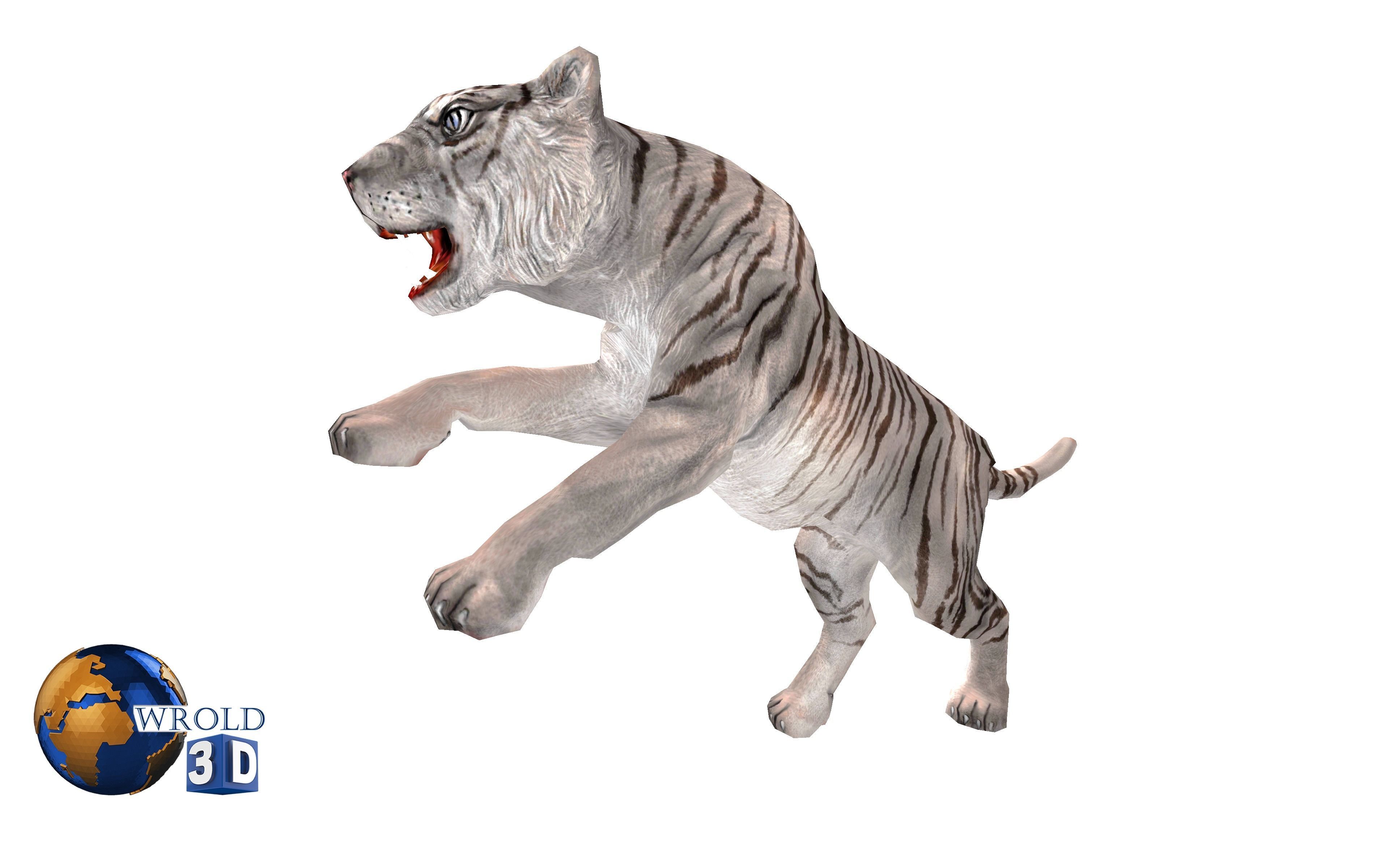 White Tiger Rigged Animated Lowpoly 3D Model Low-poly 3D model_6