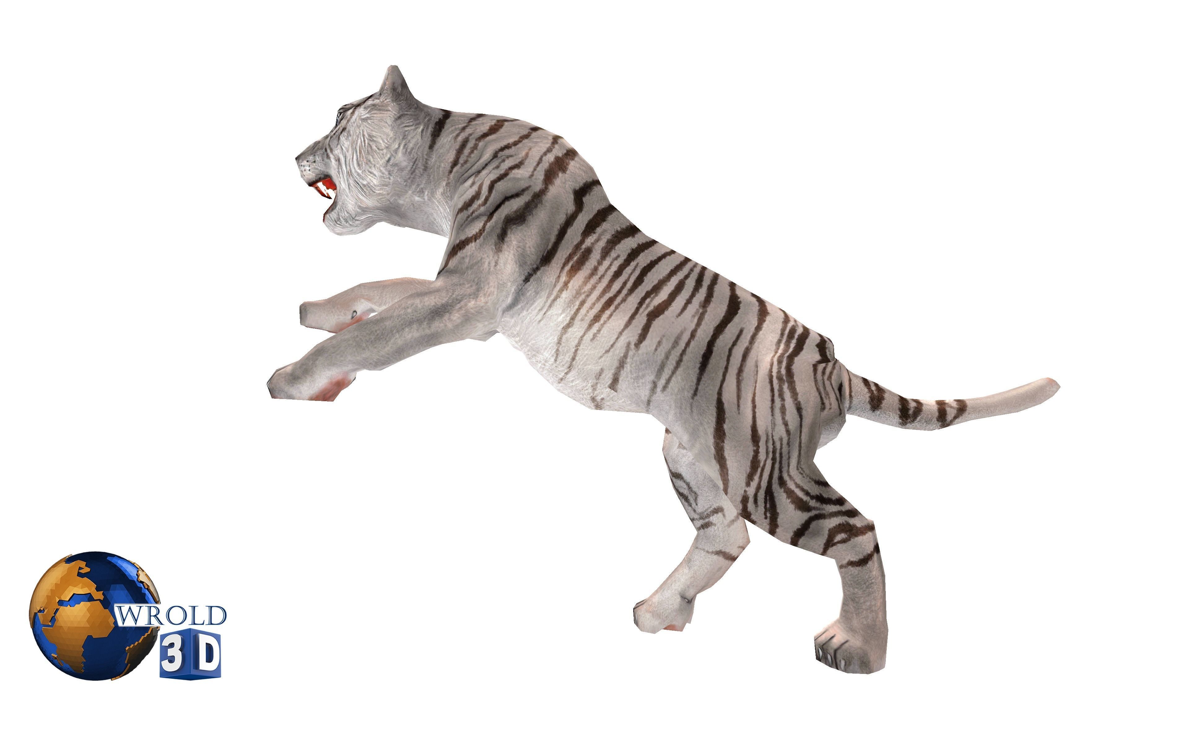 White Tiger Rigged Animated Lowpoly 3D Model Low-poly 3D model_4