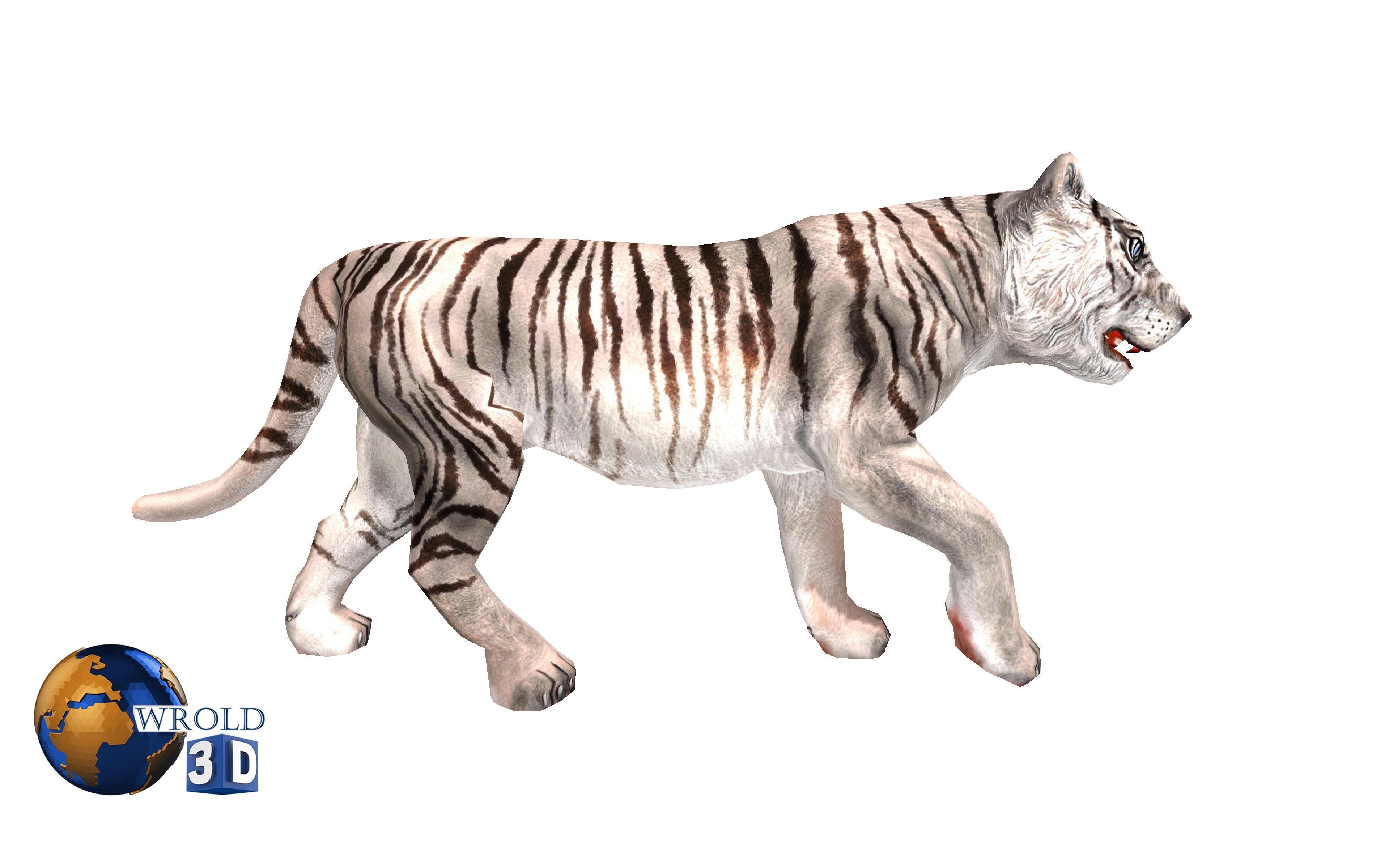 White Tiger Rigged Animated Lowpoly 3D Model Low-poly 3D model_1