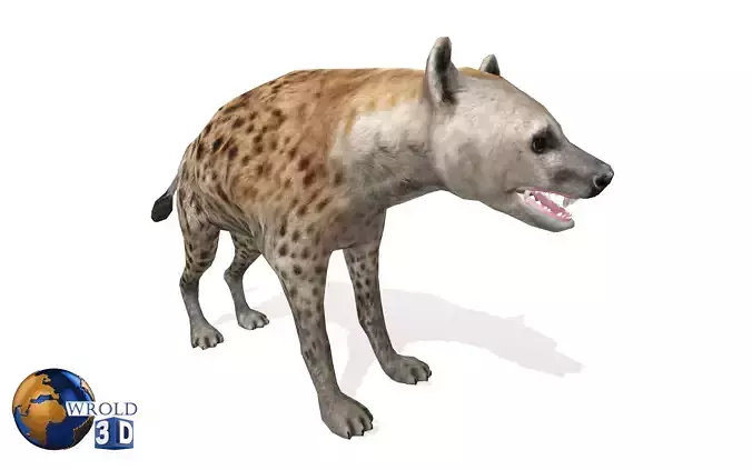 Hyena Rigged Animated Lowpoly 3D Model Low-poly 3D model