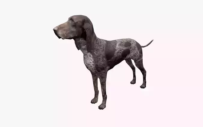 Dog low poly german shorthaired pointer Low-poly 3D model