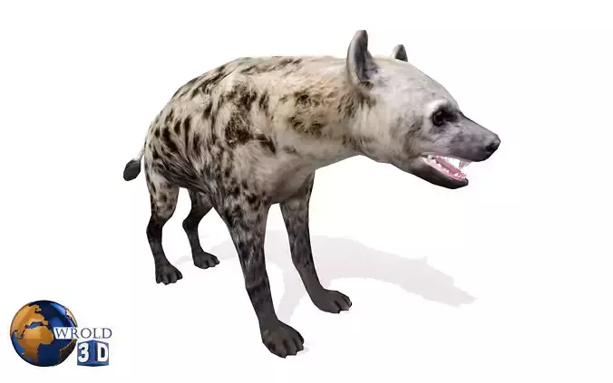 Lowpoly hyena rigged animated 3d model Low-poly 3D model