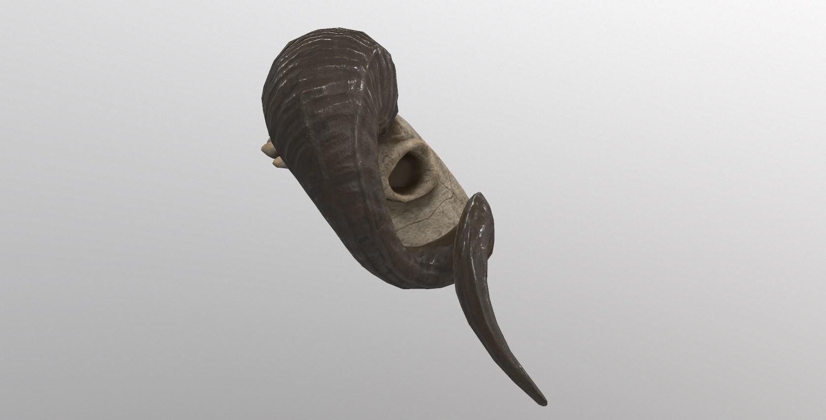 Sheep Skull 3d Model Low poly Game Ready Low-poly 3D model_8