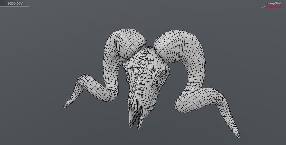 Sheep Skull 3d Model Low poly Game Ready Low-poly 3D model_10