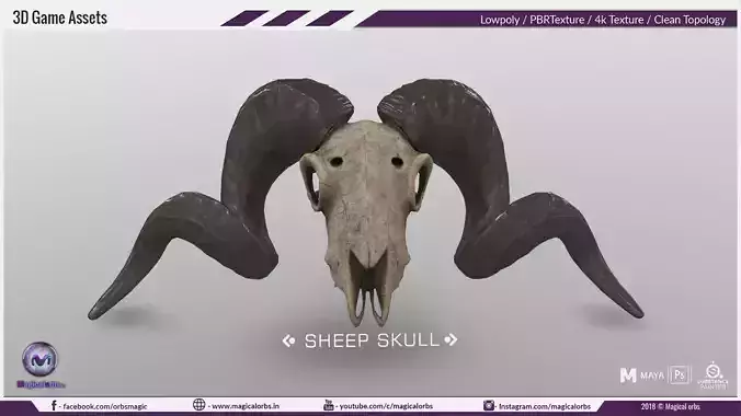 Sheep Skull 3d Model Low poly Game Ready Low-poly 3D model