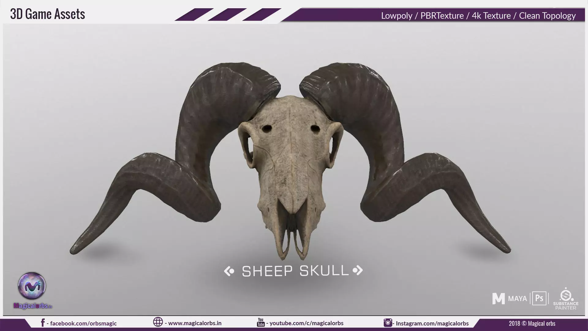Sheep Skull 3d Model Low poly Game Ready Low-poly 3D model_0