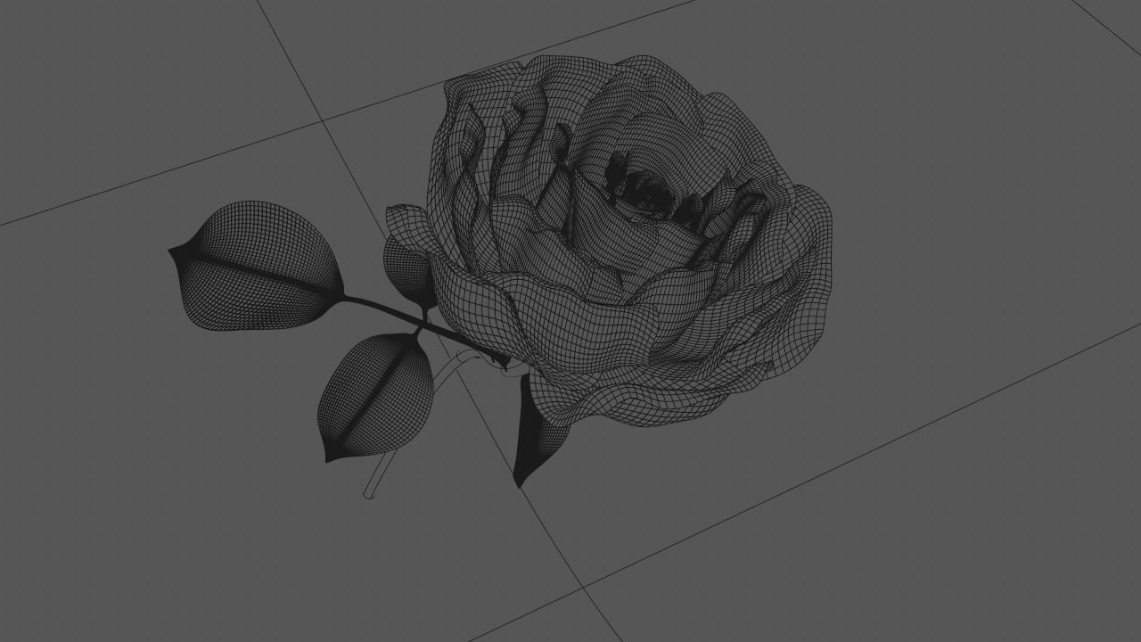 Golden Rose animation 3D model_9