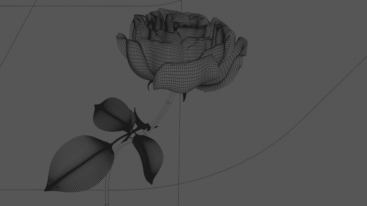 Golden Rose animation 3D model_8