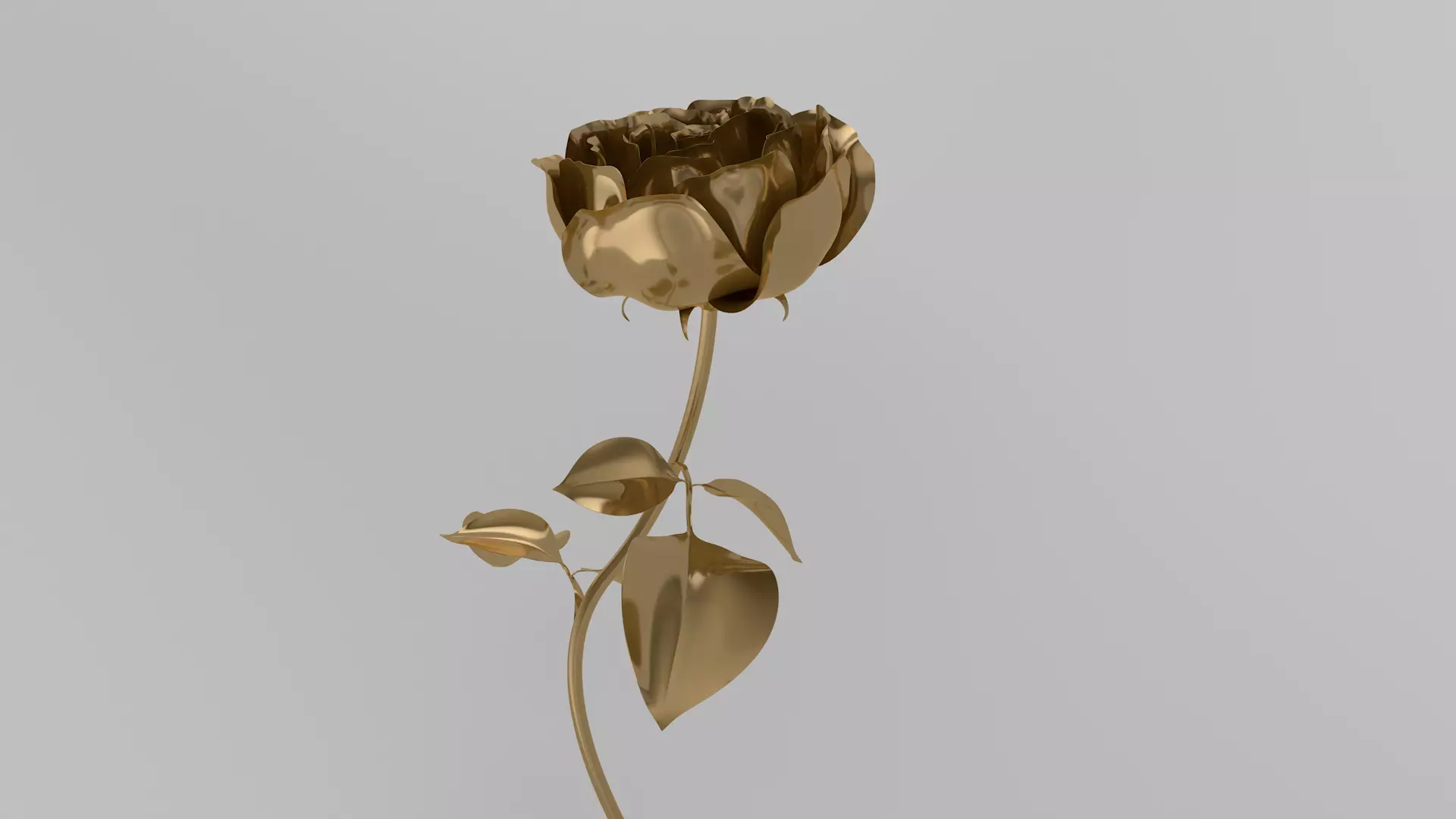 Golden Rose animation 3D model_0