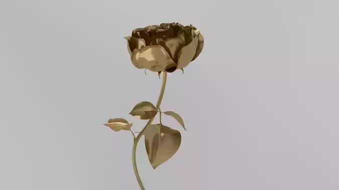 Golden Rose animation 3D model