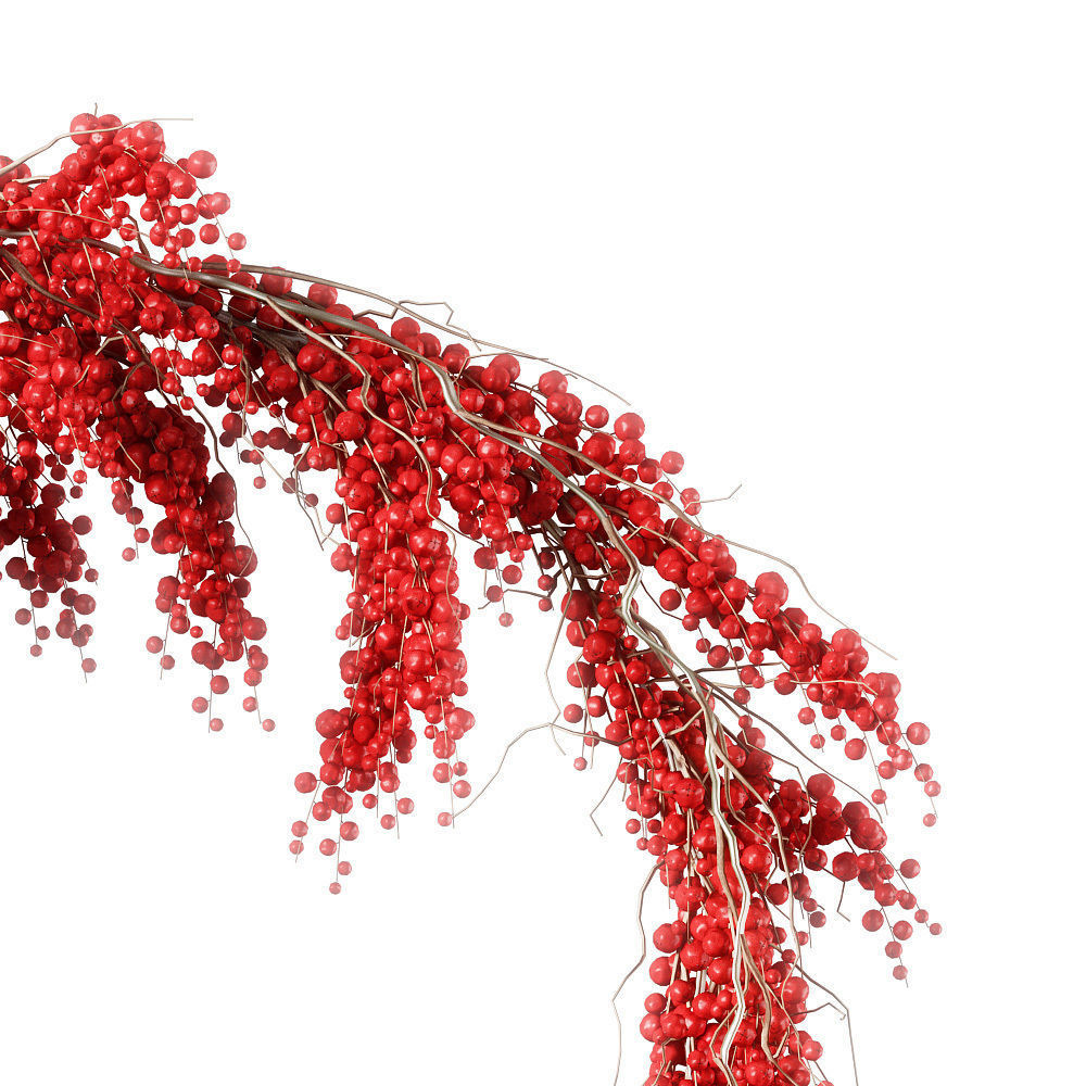 Christmas Wreath With Berries 3D model_1