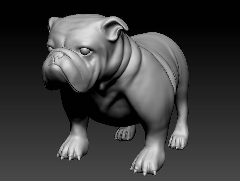 English Bulldog Low-poly 3D model_4