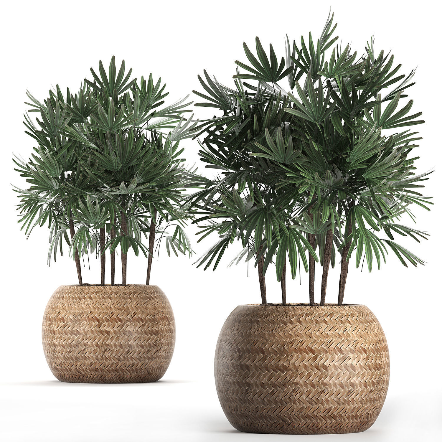 Decorative palm tree in a pot 416 3D model_2