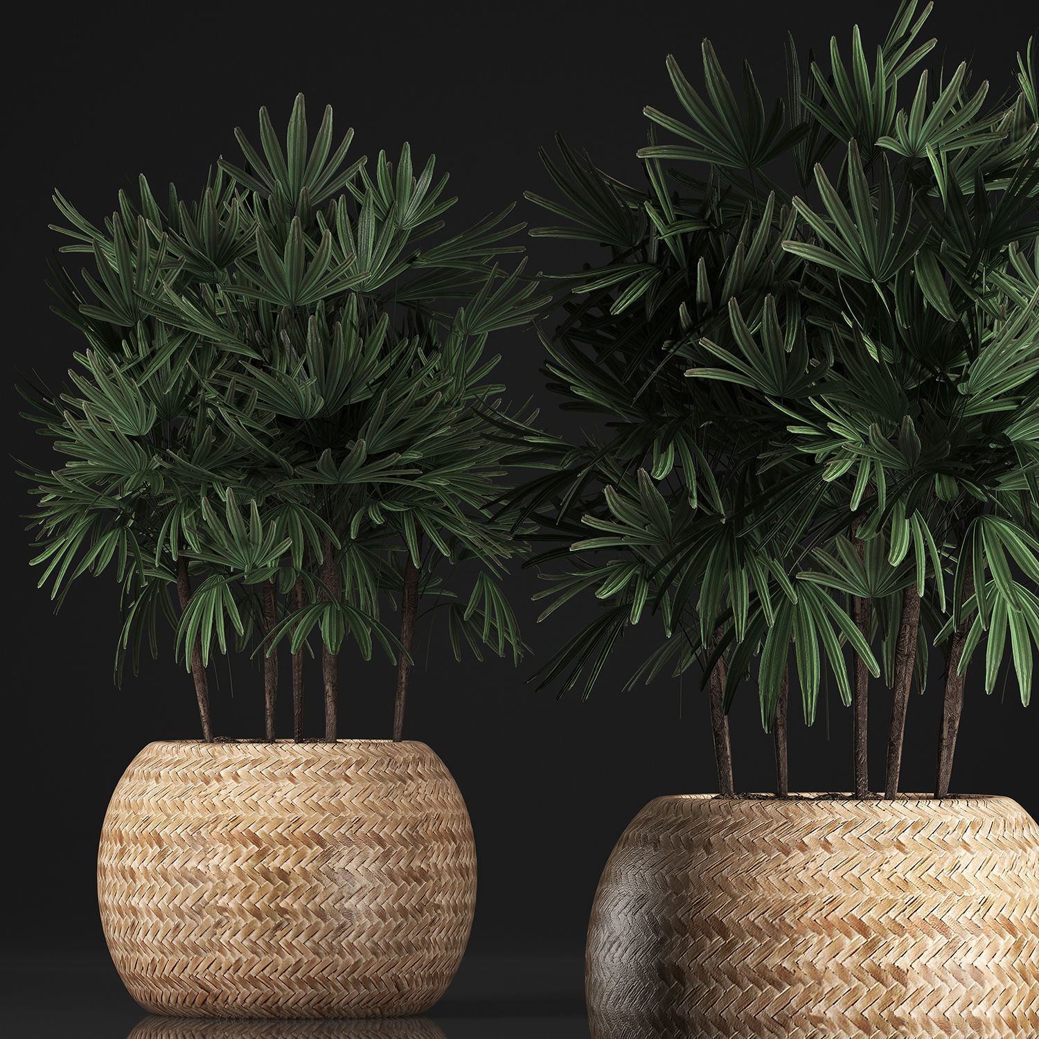 Decorative palm tree in a pot 416 3D model_3
