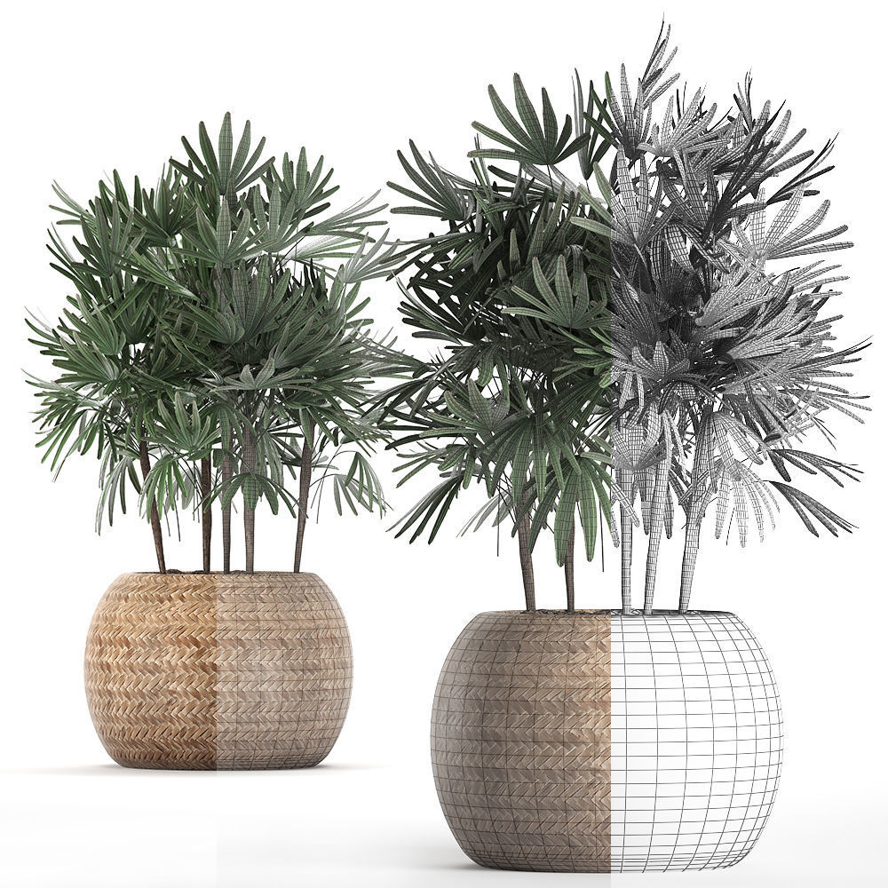 Decorative palm tree in a pot 416 3D model_5