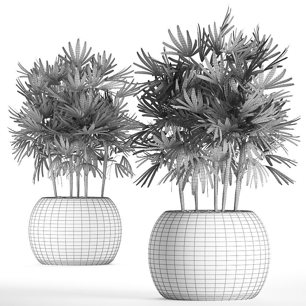 Decorative palm tree in a pot 416 3D model_7