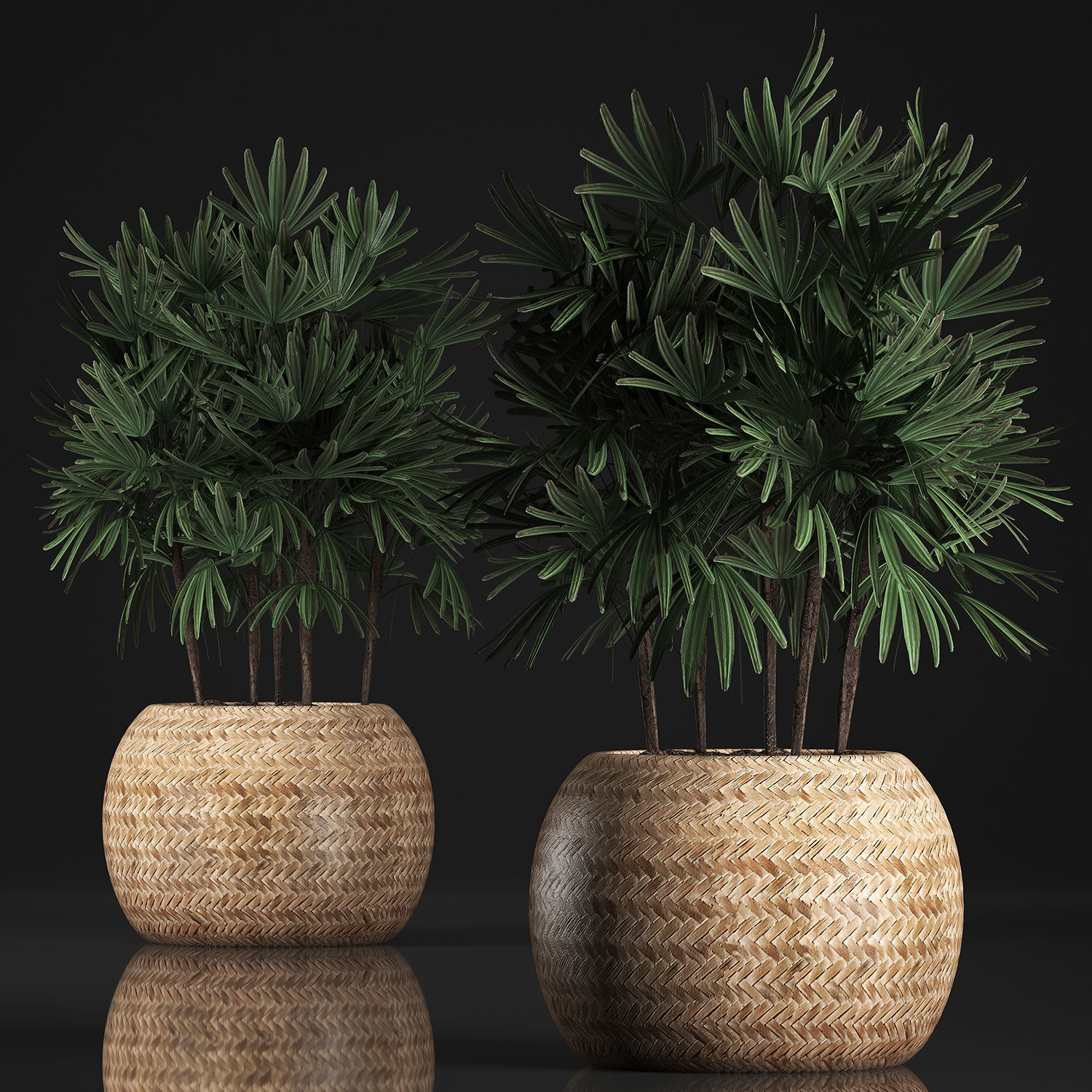 Decorative palm tree in a pot 416 3D model_1