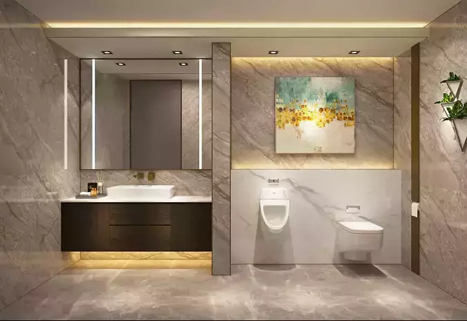 Luxury Restroom  or Bathroom or Toilet