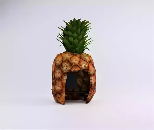 Pineapple House Low-poly 3D model