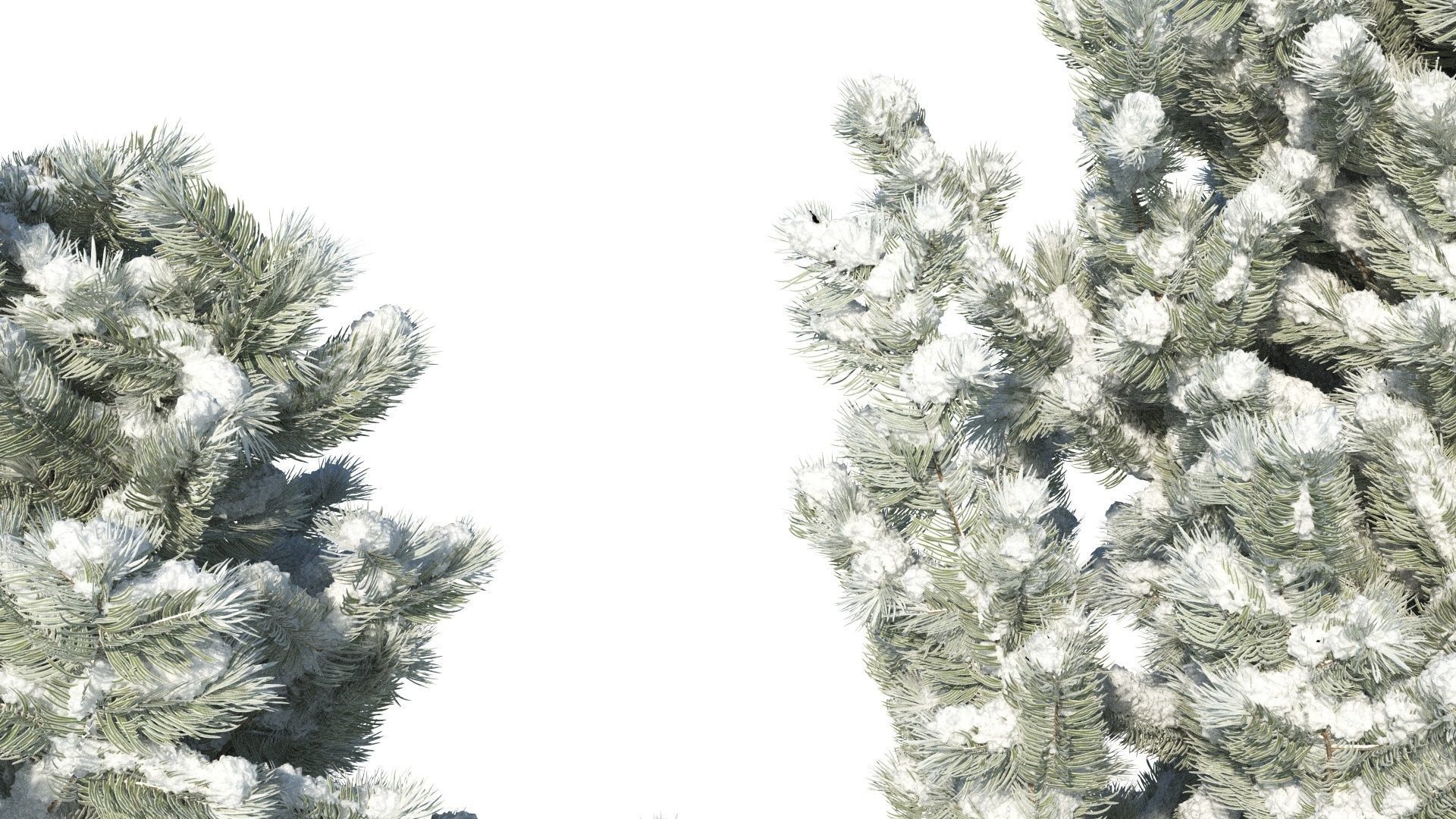Pine trees in the snow 3D model_6