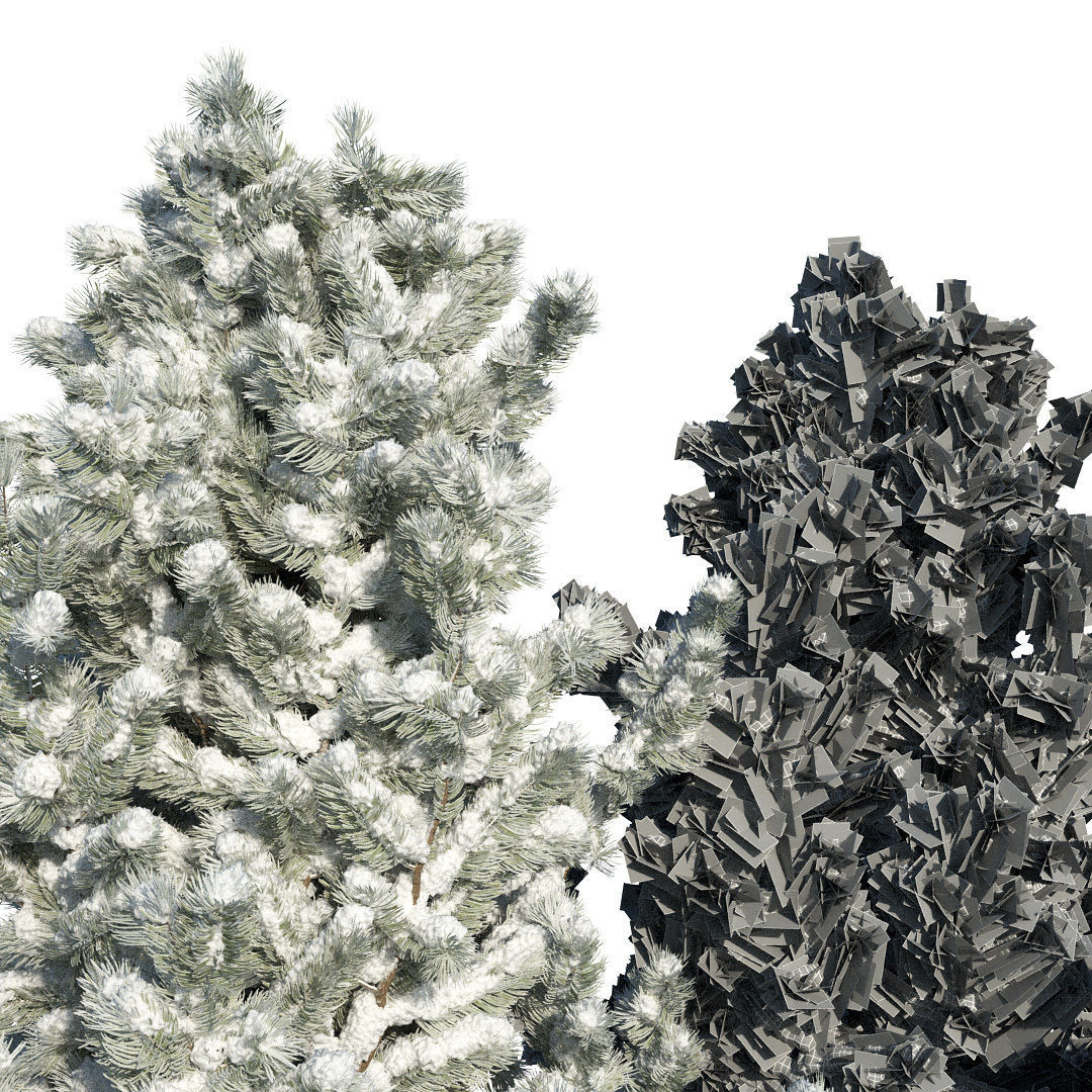 Pine trees in the snow 3D model_7