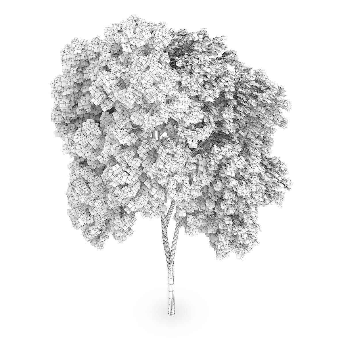 Austrian oak 1 3D model_5