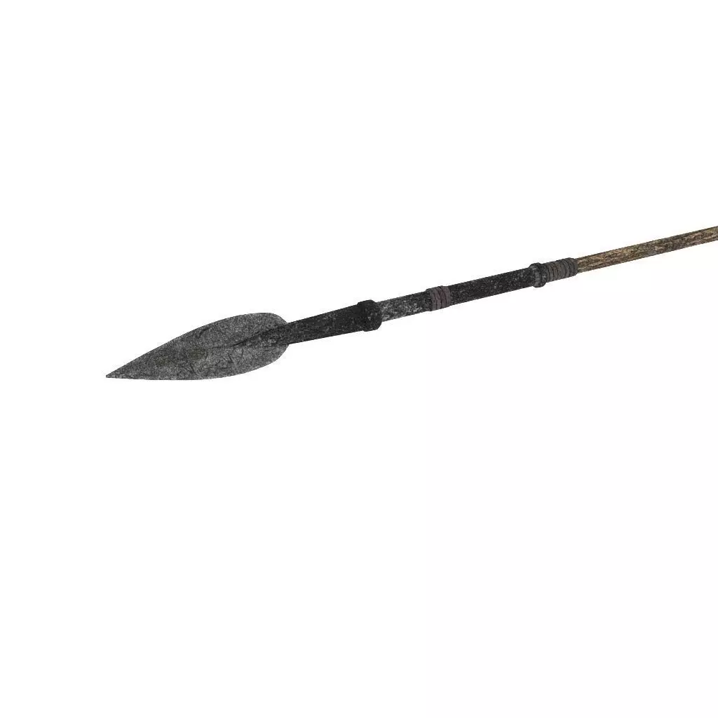 Arrow wooden spear 3D model_0