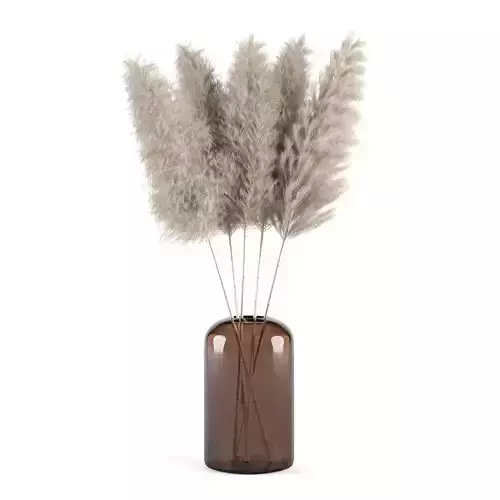 Pampas Vase 01
