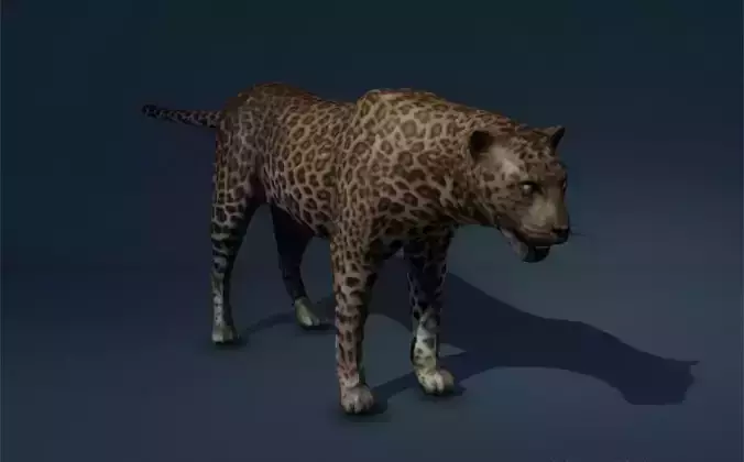 Leopard Game Ready Model