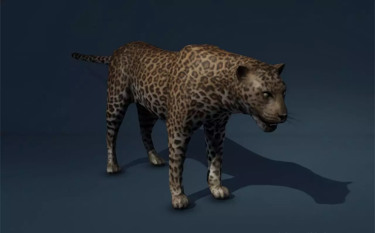 Leopard Game Ready Model Low-poly 3D model_0