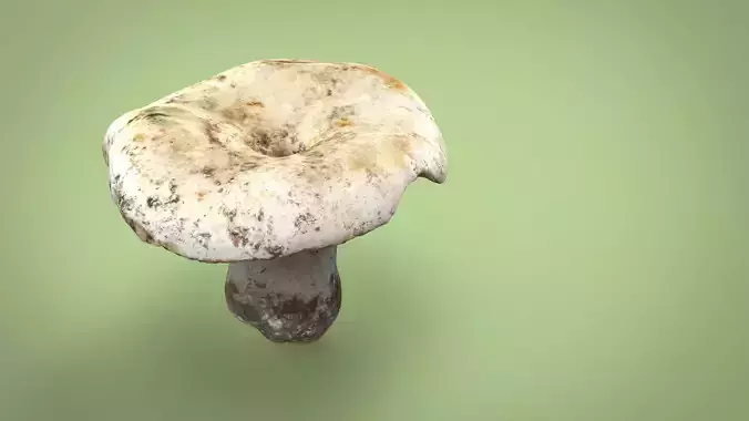 MUSHROOM Low-poly 3D model