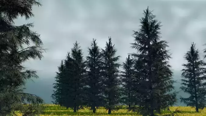 Pine Tree Location Design Cinema4D