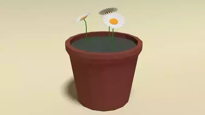 Low Poly Cartoon Daisy Flowers