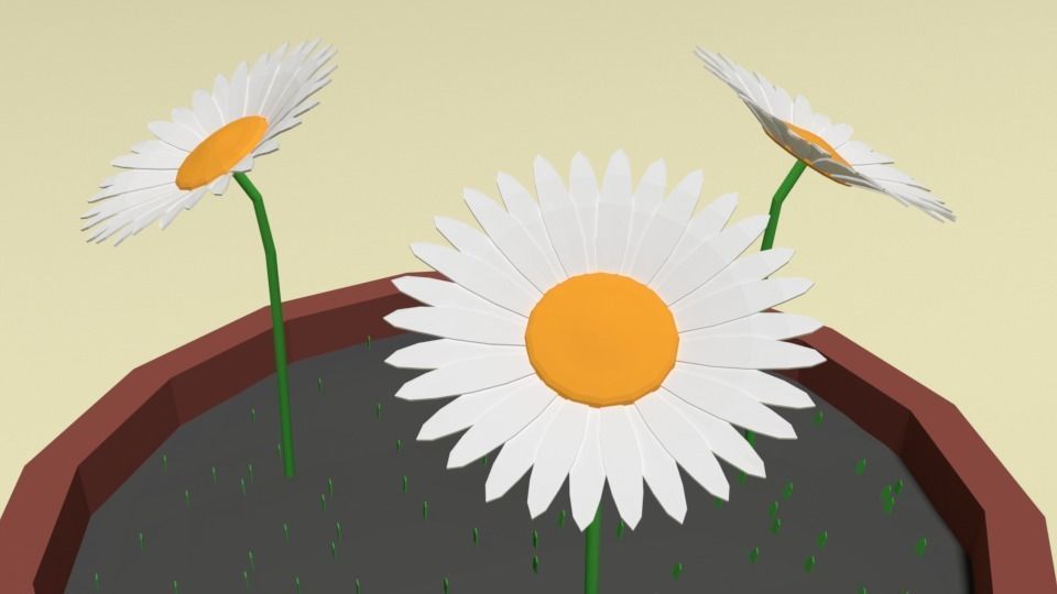 Low Poly Cartoon Daisy Flowers Low-poly 3D model_8