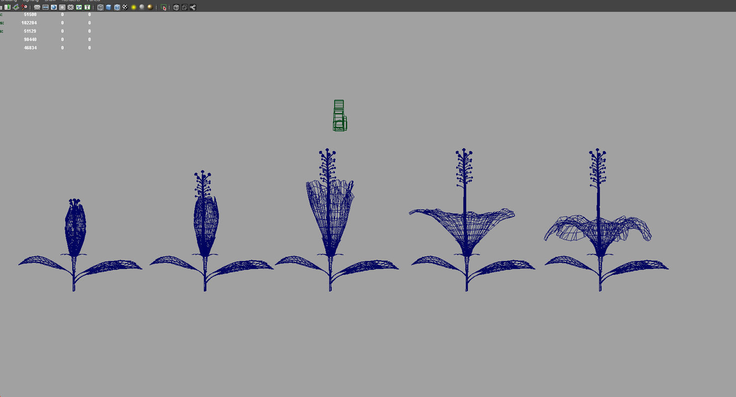 Hibiscus flower 3d model 3D model_6