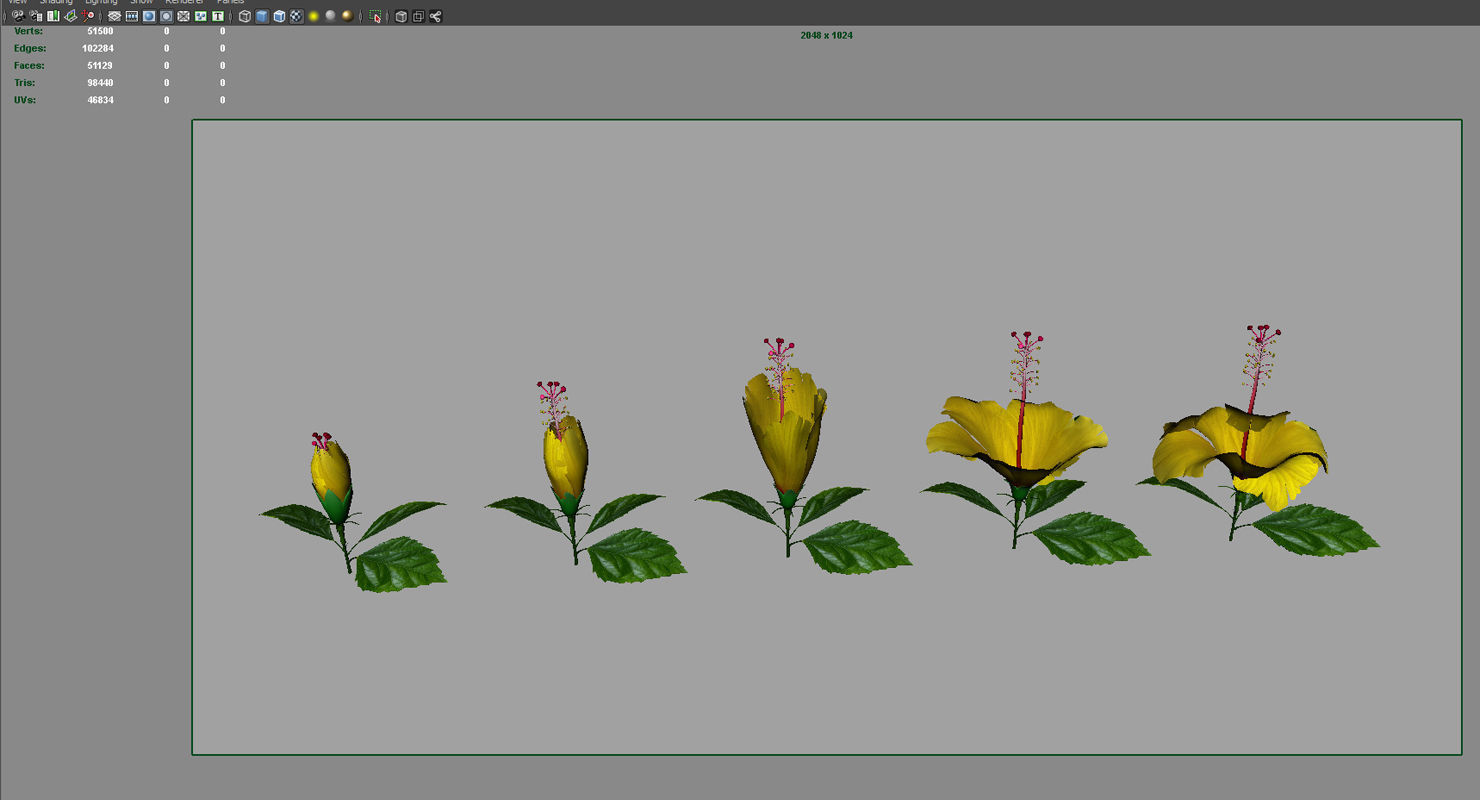 Hibiscus flower 3d model 3D model_3