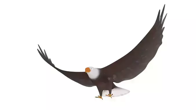 Cartoon Eagle - Rigged Low-poly 3D model