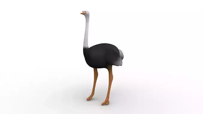 Cartoon Ostrich - Rigged