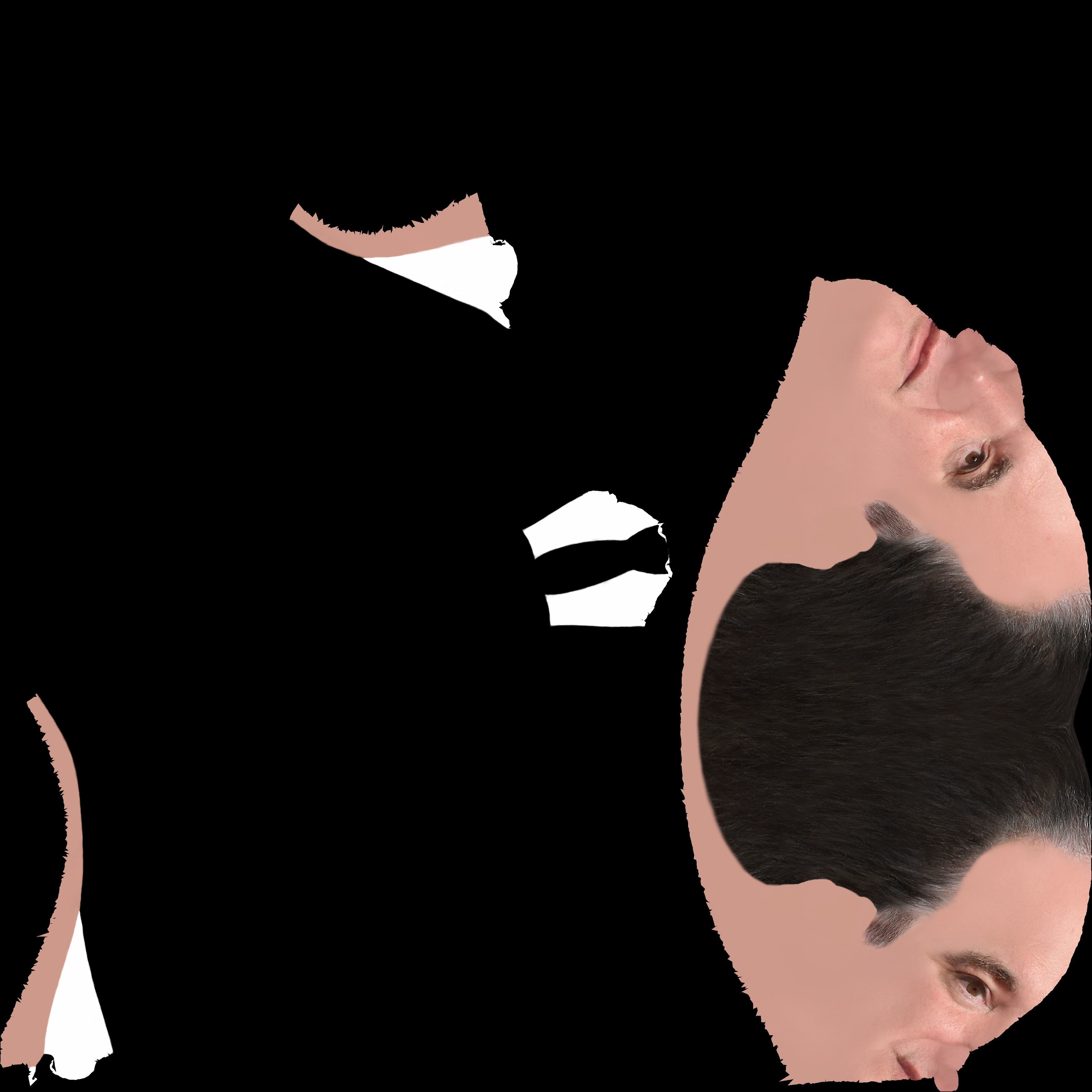 Quentin Tarantino bust ready for full color 3D printing 3D print model_21