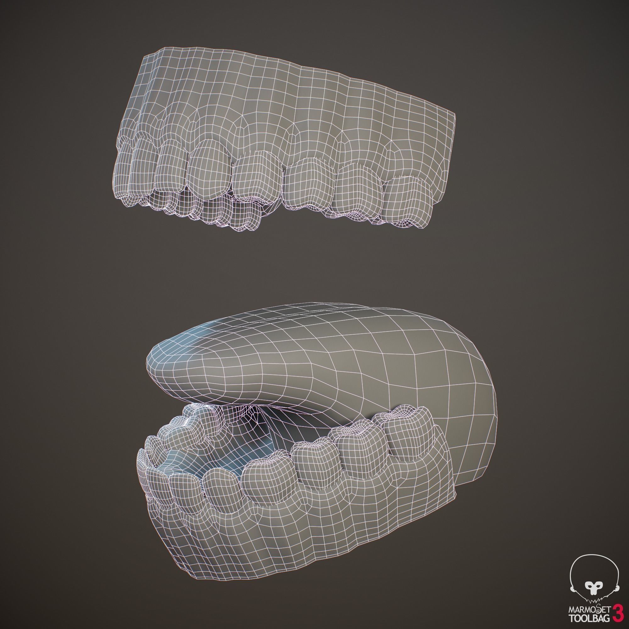 Teeth and Tongue PBR Low-poly 3D model_22