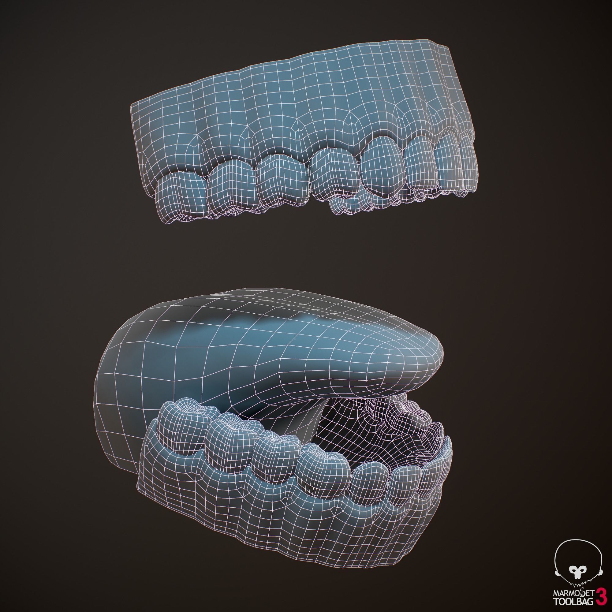 Teeth and Tongue PBR Low-poly 3D model_29