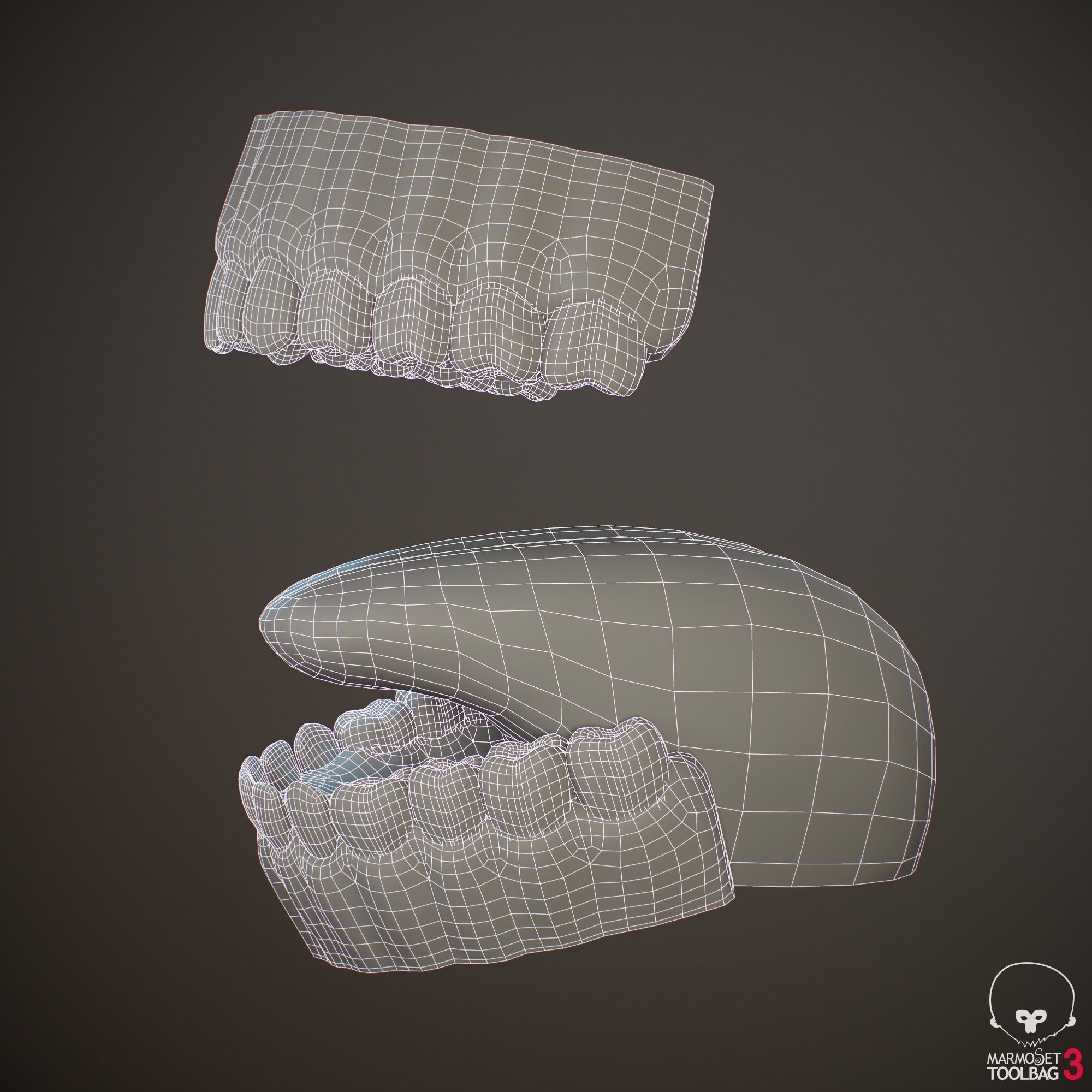 Teeth and Tongue PBR Low-poly 3D model_23