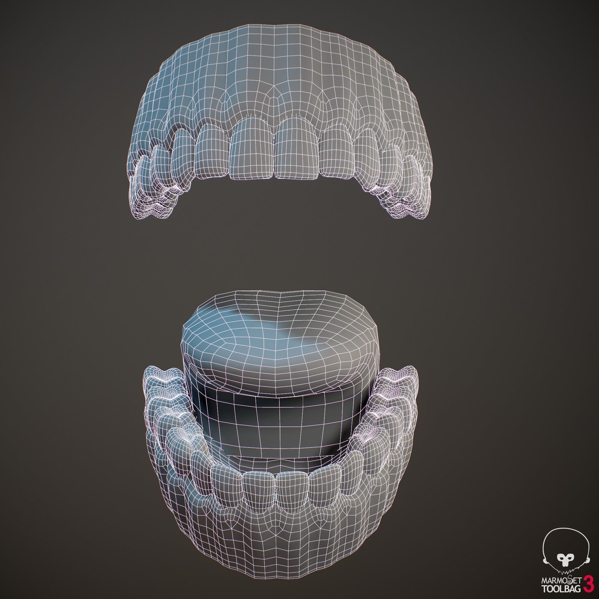 Teeth and Tongue PBR Low-poly 3D model_20