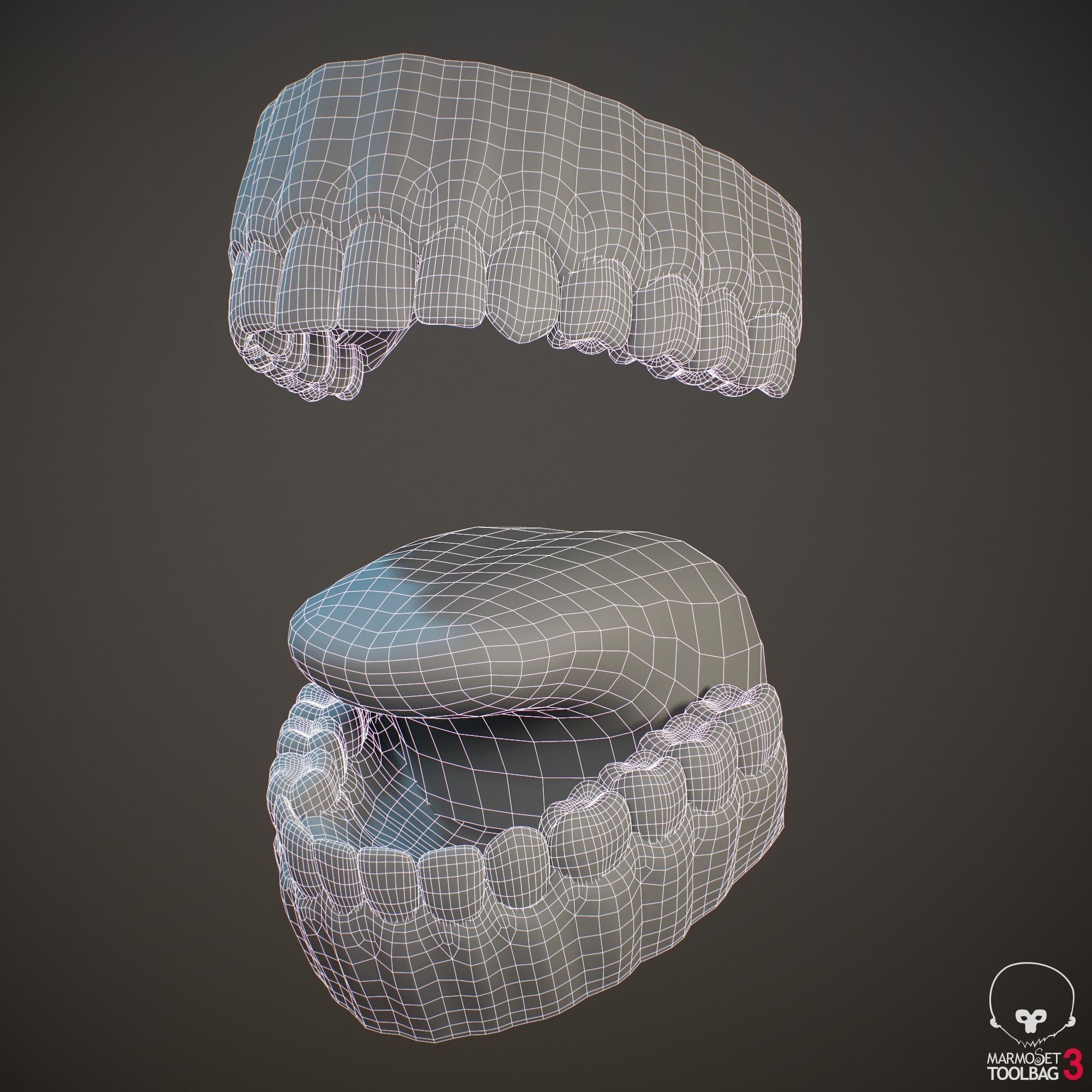 Teeth and Tongue PBR Low-poly 3D model_21